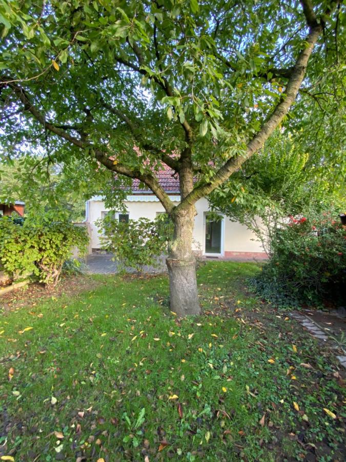 Ferienhaus Spreewald Лукау Екстериор снимка